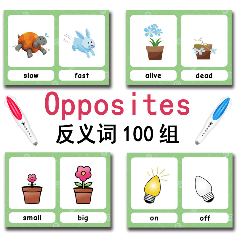 Tarjetas de memoria con 100 gr - Kids Education Age reseña y precio